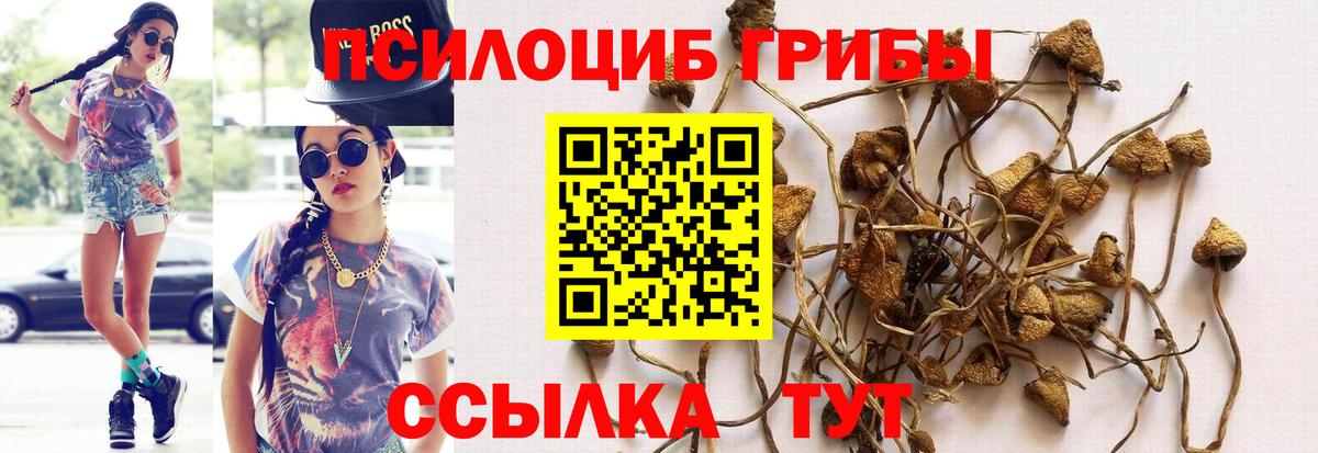 Псилоцибиновые грибы прущие грибы  Вход с VPN  Псилоцибиновые грибы прущие грибы  Калач-на-Дону 